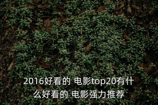 2016好看的 電影top20有什么好看的 電影強力推薦