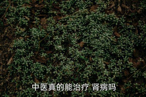  中醫(yī)真的能治療 腎病嗎