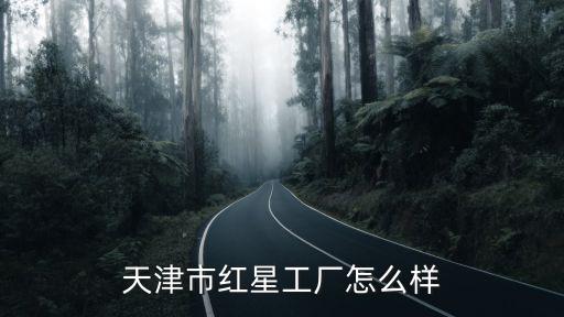 天津市紅星工廠怎么樣