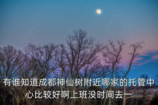 有誰知道成都神仙樹附近哪家的托管中心比較好啊上班沒時間去一