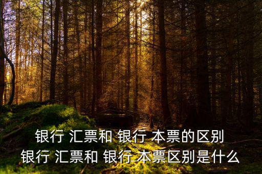 銀行匯票和銀行本票的區(qū)別,銀行匯票和銀行本票的區(qū)別