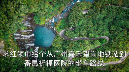 求紅領(lǐng)巾給個(gè)從廣州嘉禾望崗地鐵站到番禺祈福醫(yī)院的坐車路線