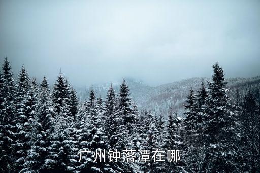 廣州鐘落潭在哪