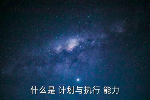 什么是 計劃與執(zhí)行 能力