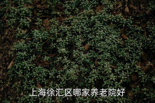 上海徐匯區哪家養老院好