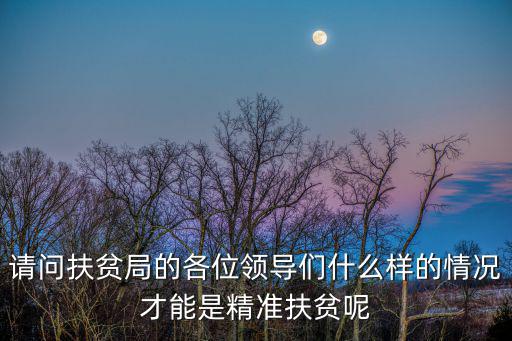 請問扶貧局的各位領導們什么樣的情況才能是精準扶貧呢