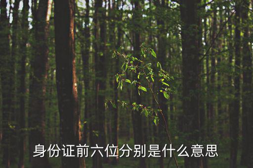 身份證前六位分別是什么意思