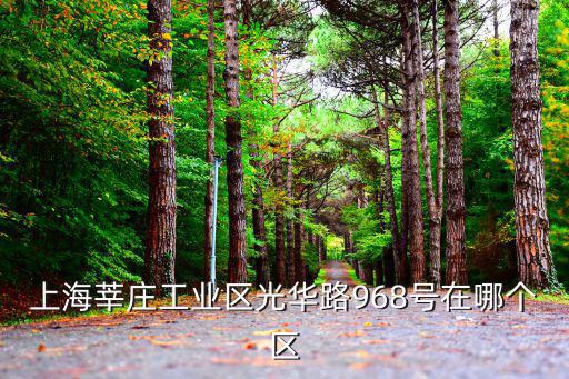 上海莘莊工業(yè)區(qū)光華路968號(hào)在哪個(gè)區(qū)