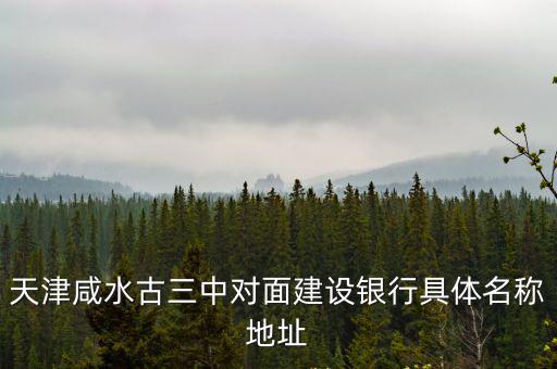 天津咸水古三中對面建設銀行具體名稱地址