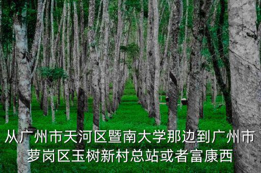 從廣州市天河區(qū)暨南大學那邊到廣州市蘿崗區(qū)玉樹新村總站或者富康西