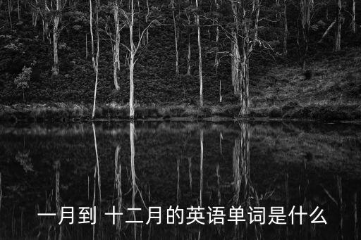 一月到十二月,回顧（14）:未來十個月