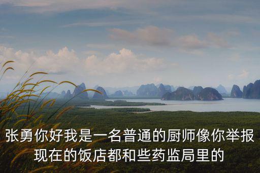 張勇天津市食品集團，張勇你好我是一名普通的廚師像你舉報現在的飯店都和些藥監局里的