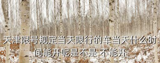 天津限號規定當天限行的車當天什么時間能開呢是不是 不能開