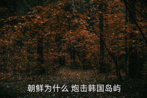 朝鮮為什么 炮擊韓國(guó)島嶼