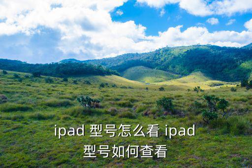 怎么看ipad型號
