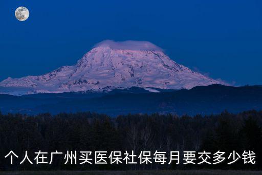 個人在廣州買醫保社保每月要交多少錢