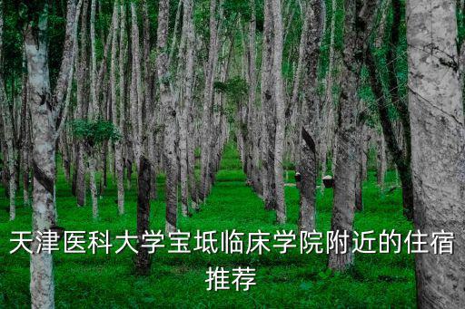 天津醫(yī)科大學(xué)寶坻臨床學(xué)院附近的住宿推薦