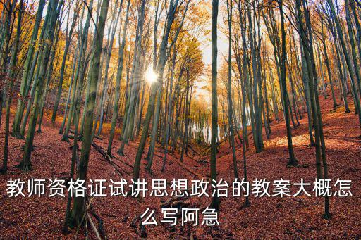教師資格證試講思想政治的教案大概怎么寫阿急