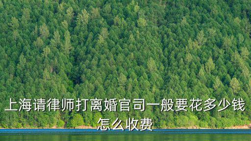 上海請律師打離婚官司一般要花多少錢怎么收費