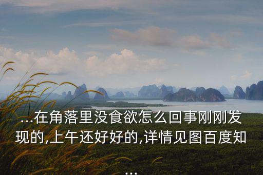 ...在角落里沒食欲怎么回事剛剛發現的,上午還好好的,詳情見圖百度知...