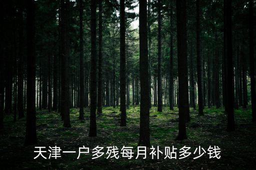 天津市一級(jí)殘疾補(bǔ)助標(biāo)準(zhǔn)，天津一級(jí)殘疾人享受什么待遇