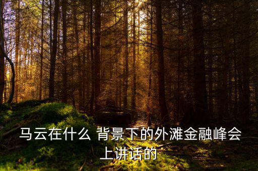 馬云背景,馬云當(dāng)選全球互聯(lián)網(wǎng)治理聯(lián)盟理事會(huì)主席