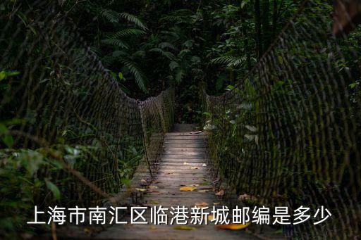 上海市南匯區臨港新城郵編是多少