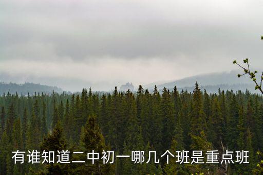 成都市勝利中學二班是重點班嗎，武勝中學高2019級15班是重點班嗎實驗班是什么意思