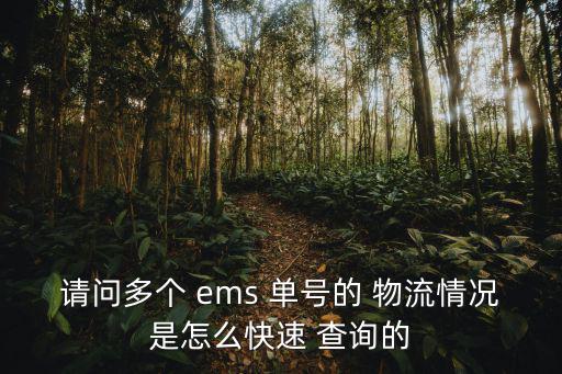 請問多個(gè) ems 單號的 物流情況是怎么快速 查詢的