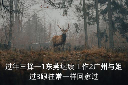 過年三擇一1東莞繼續(xù)工作2廣州與姐過3跟往常一樣回家過