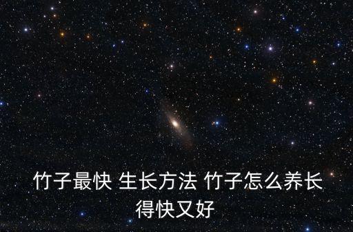  竹子最快 生長方法 竹子怎么養長得快又好