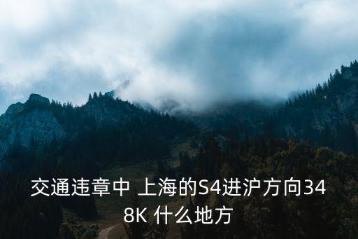 交通違章中 上海的S4進滬方向348K 什么地方