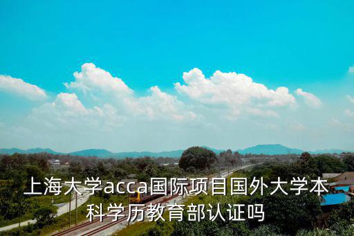 上海大學acca國際項目國外大學本科學歷教育部認證嗎