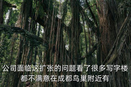 公司面臨這擴張的問題看了很多寫字樓都不滿意在成都鳥巢附近有