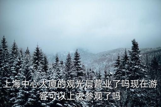 上海中心大廈的觀光層營業(yè)了嗎現(xiàn)在游客可以上去參觀了嗎