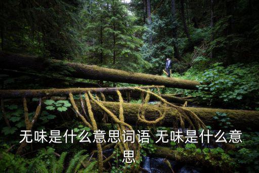  無味是什么意思詞語 無味是什么意思