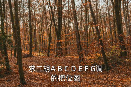 求二胡A B C D E F G調(diào)的把位圖