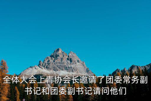 全體大會上青協(xié)會長邀請了團委常務(wù)副書記和團委副書記請問他們