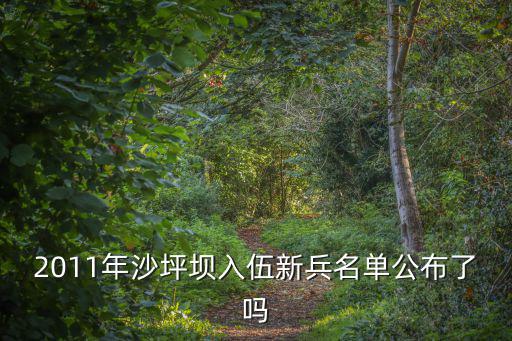 2011年沙坪壩入伍新兵名單公布了嗎