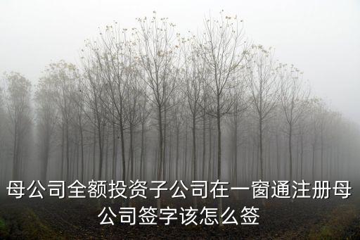母公司全額投資子公司在一窗通注冊母公司簽字該怎么簽