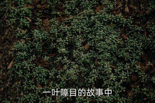 一葉障目的故事中