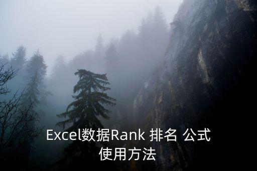 排名公式,rank排名怎么做?