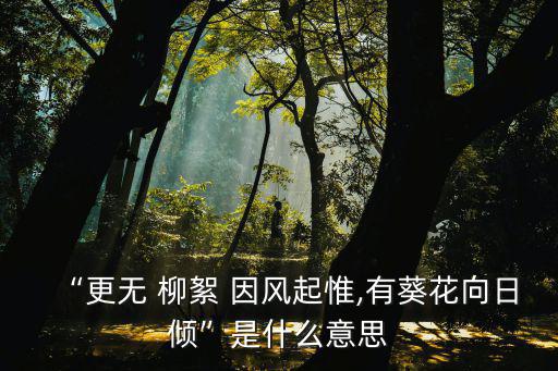 “更無 柳絮 因風起惟,有葵花向日傾”是什么意思