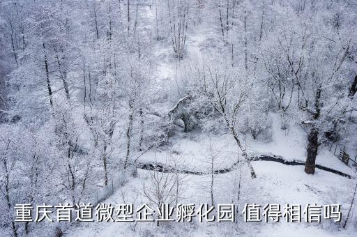重慶首道微型企業(yè)孵化園 值得相信嗎