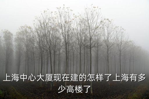 上海中心大廈入住率低，上海中心大廈現(xiàn)在建的怎樣了上海有多少高樓了