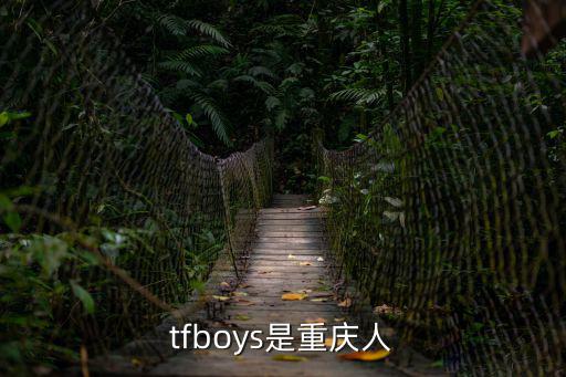 tfboys是重慶人