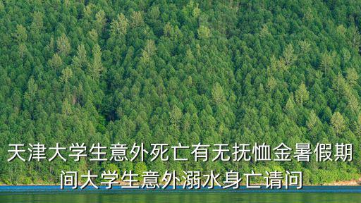 天津市南開大學大學生溺水事故，南開大學在天津是一本嗎