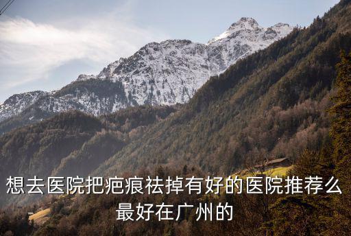 想去醫(yī)院把疤痕祛掉有好的醫(yī)院推薦么最好在廣州的