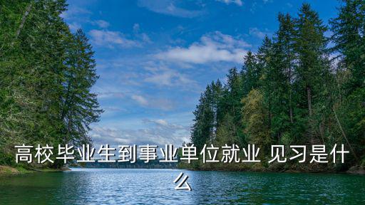 專業見習,實習與就業指導報到制度的不同