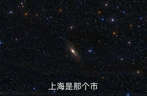 上海市信訪局，上海市信訪辦的負責人叫啥